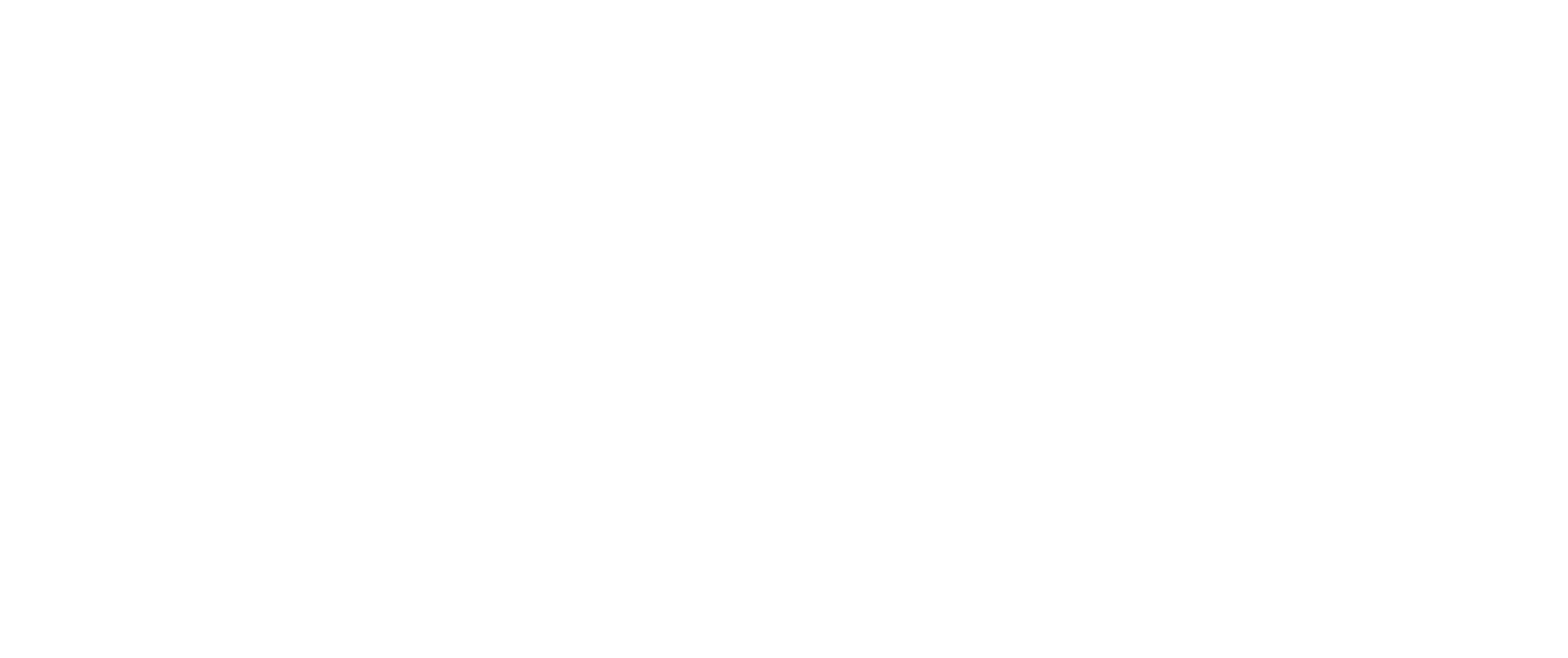 Vitalis_logo_white_original_size